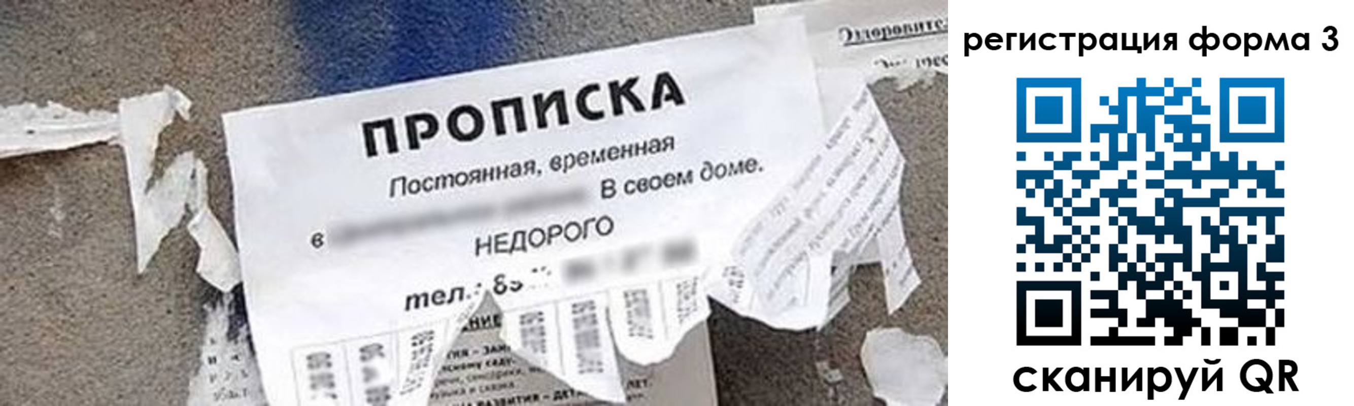 прописка 2025 в Дубне